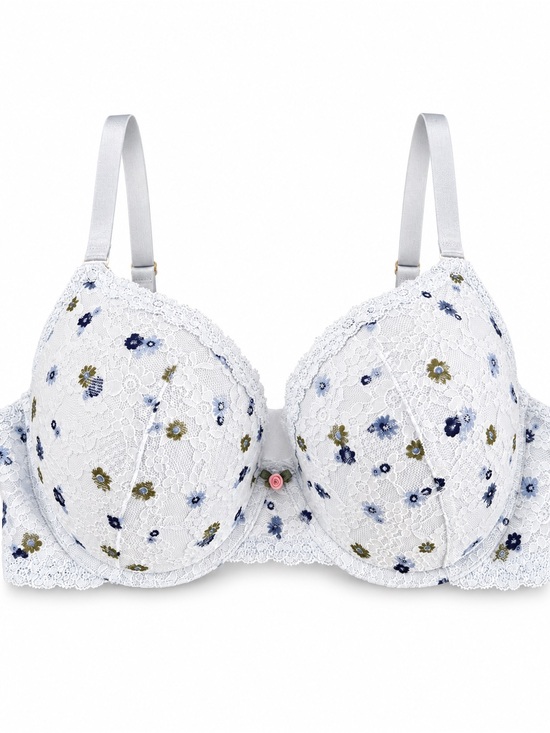 aerie Other - aerie White Lace Bra with Blue and Olive Floral Embroidery